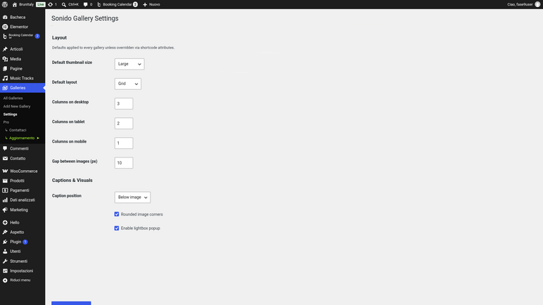 Sonido Gallery settings page with layout, captions and visuals controls